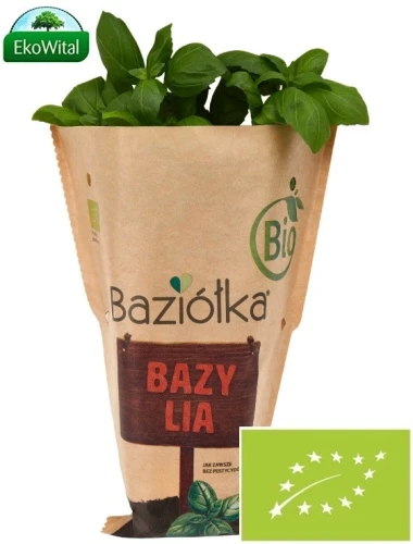 Bazylia-ekologiczna-w-doniczce-BIO-Baziolka.webp