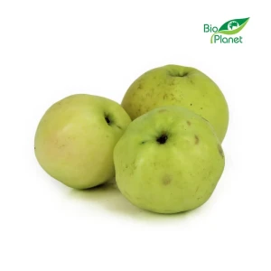 Jabłka ekologiczne Antonówka BIO 1 kg