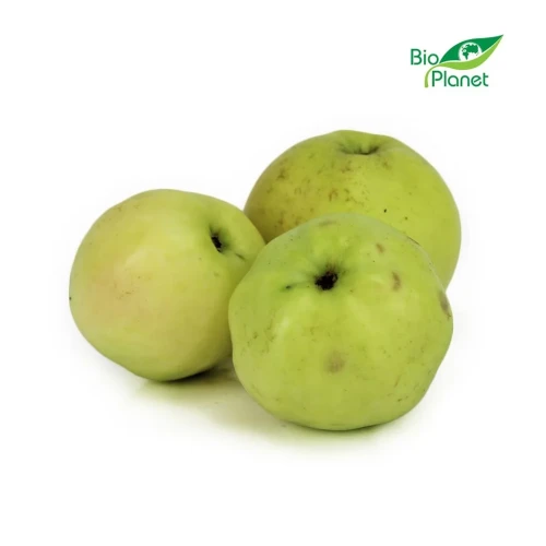 Jabłka ekologiczne Antonówka BIO 1 kg