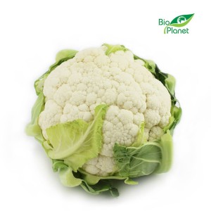 Kalafior ekologiczny ŚWIEŻY BIO ok 800g