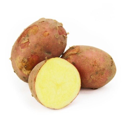  Ziemniaki ekologiczne Bellarosa kremowe świeże BIO 1kg