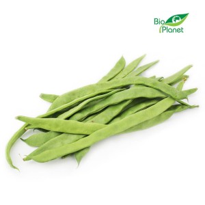 Fasolka płaska ŚWIEŻA BIO ok 500 g 