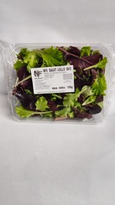 Mix sałat ekologicznych LOLLO niemyty ŚWIEŻY BIO ok 125 g