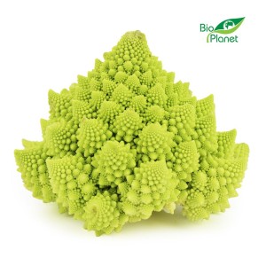 Kalafior Romanesco ekologiczny świeży BIO
