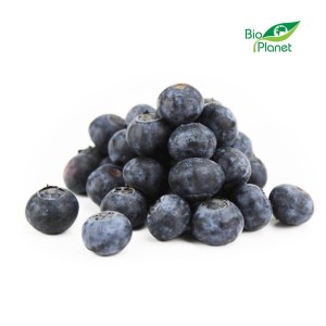 Owoce Borówki amerykańskiej ekologiczne BIO 125g