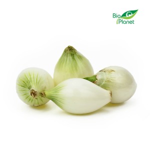Cebula cukrowa ekologiczna świeża BIO 1kg
