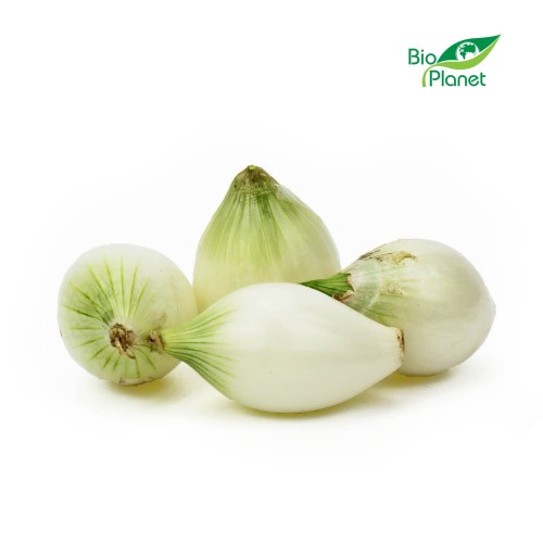 Cebula cukrowa ekologiczna świeża BIO 1kg