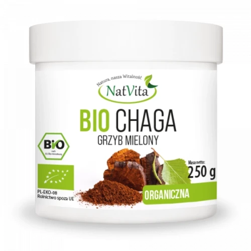 chaga-bio-grzyb-mielony-owocnik.webp