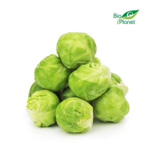 Brukselka świeża ekologiczna BIO ok 500g Bio Planet