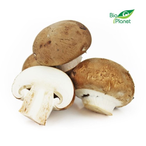 Pieczarki-brązowe-świeże.jpg