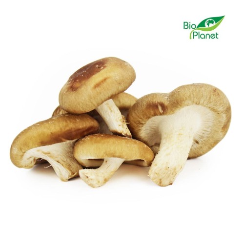 Grzyby-shitake-świeże.jpg