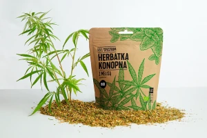 CBD Herbatka Konopna z Melisą BIO  40g Full Spectrum