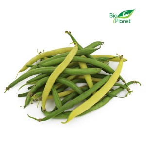 Fasolka szparagowa żółta ekologiczna świeża BIO ok 0,5kg