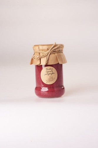 Miód z Czarną Porzeczką 380g MiodyDworskie