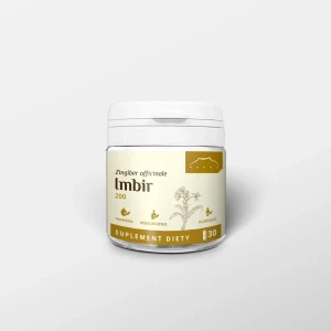 Imbir ekstrakt 200 mg 100 kapsułek 27 g NANGA 