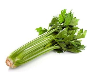 Seler NACIOWY ekologiczny świeży ok 300g BIO