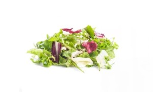Mix sałat ekologicznych MISTICANZA niemyty ŚWIEŻY BIO ok 125 g