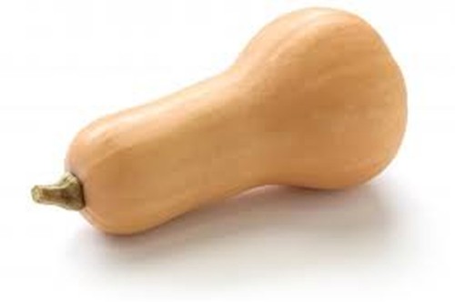 dynia-pizmowa-butternut-ekologiczna-swieza-bio.jpg