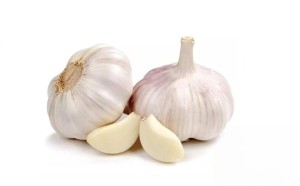 Czosnek świeży BIO 1 szt