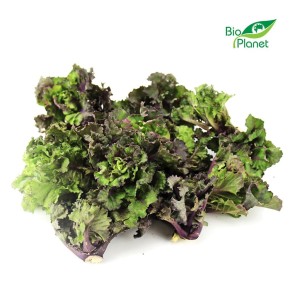 Brukselka Kalette świeża ekologiczna BIO ok. 250g