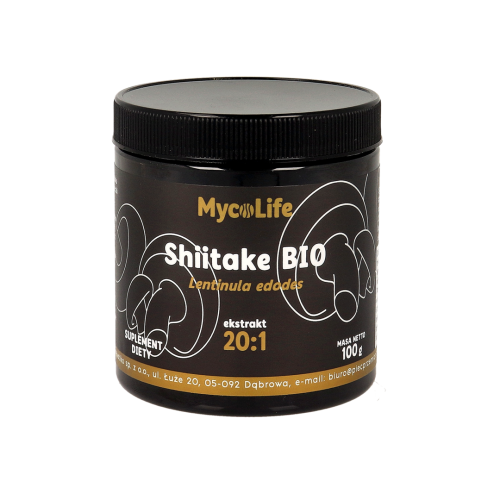 Shiitake grzyb witalny ekstrakt bez glutenu BIO 100g MycoLife