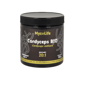 Cordyceps grzyb witalny ekstrakt bez glutenu BIO 100g MycoLife