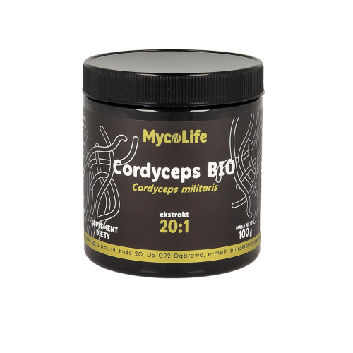 Cordyceps grzyb witalny ekstrakt bez glutenu BIO 100g MycoLife