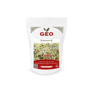 Czosnek nasiona na kiełki BIO 6g GEO