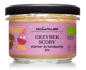Kombucha starter Scoby BIO 150g Delikatna
