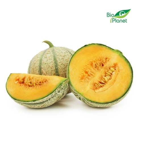 Melon-ekologiczny-Retato-BIO.jpg