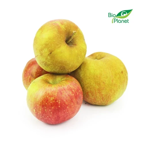 Jabłka Szara Reneta świeże ekologiczne BIO 1 kg 