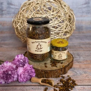 Pierzga pszczela 500g słoik Pojezierze Drawskie