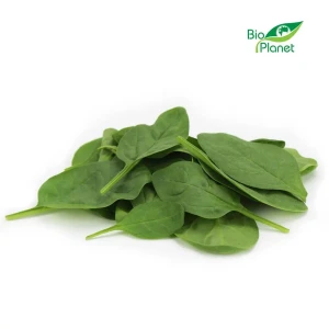 Szpinak baby niemyty świeży ekologiczny BIO 250g