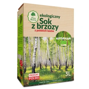 Sok z brzozy 3L BIO BOX Dary Natury