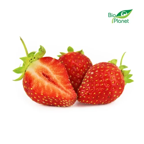 Truskawki ekologiczne świeże BIO 500g