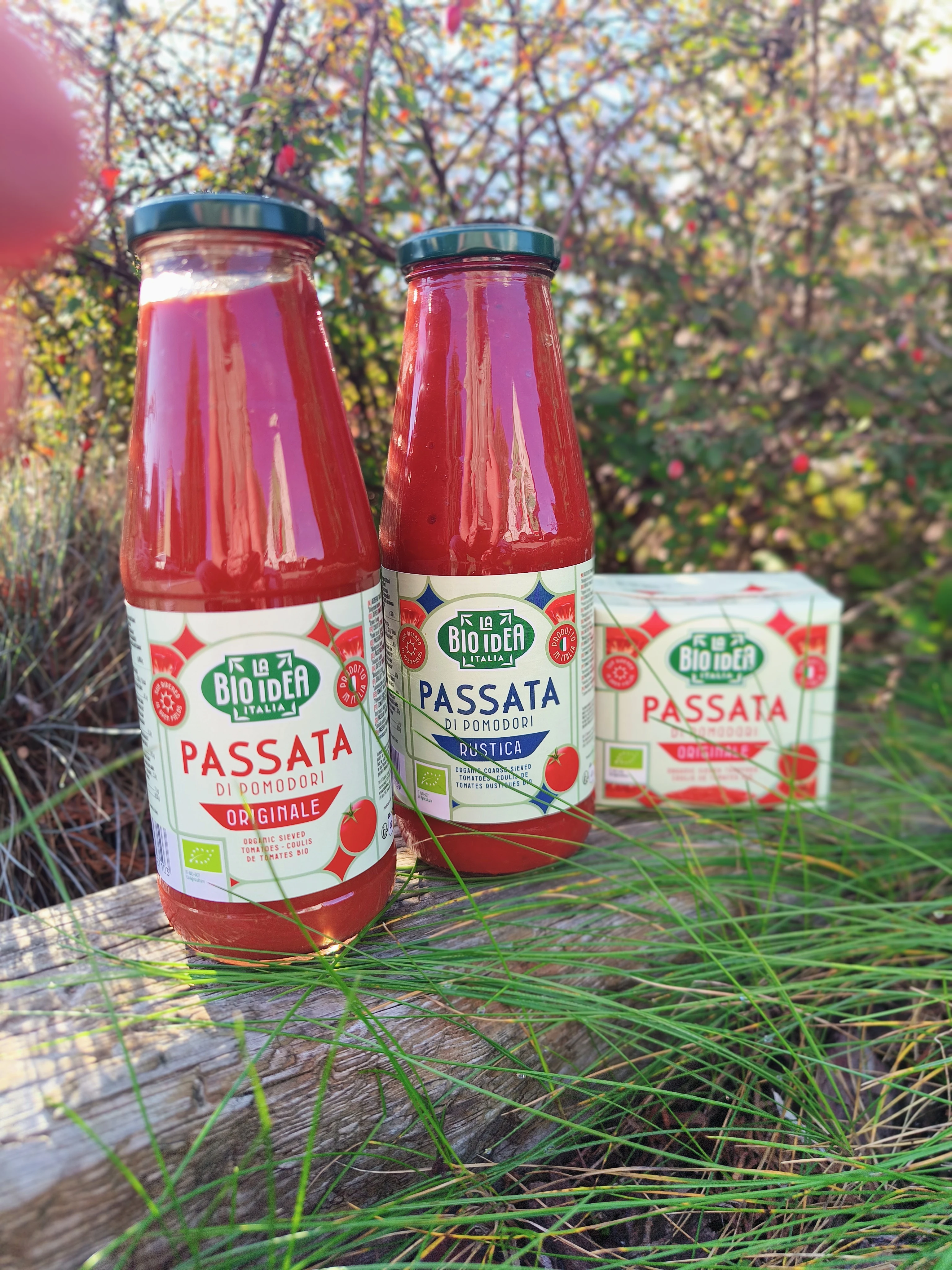 Passata pomidorowa BIO – przewodnik i 5 przepisów kulinarnych